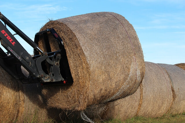 Rata Bale Forks - Image 3