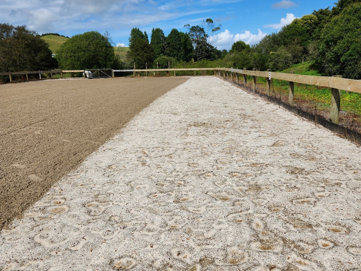 Redback Arena Rake Groomer - Image 3